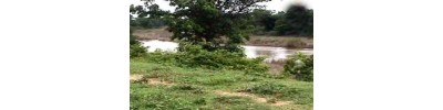 066. திருநைமிசாரண்யம்